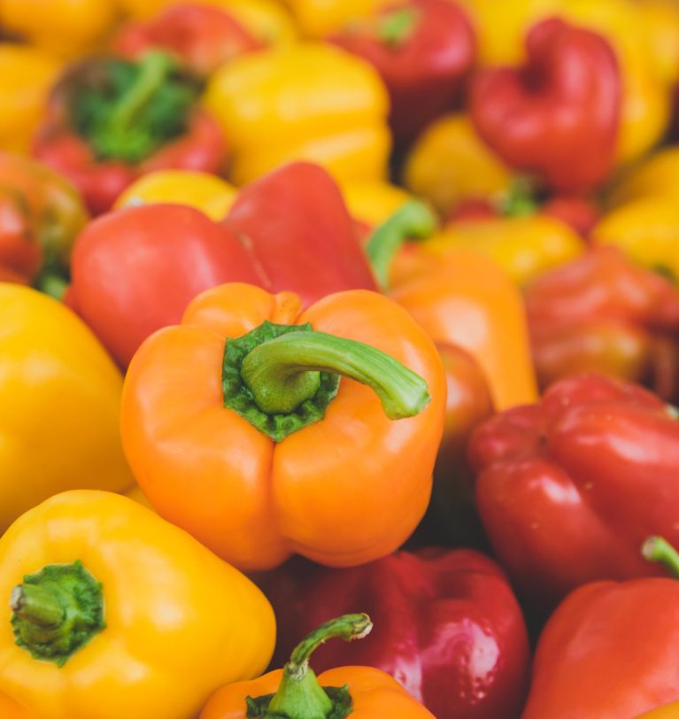 L’Espagne reste le leader incontesté des exportations des poivrons