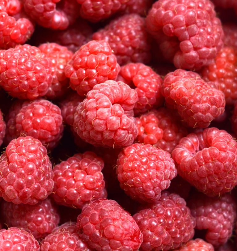 Framboise surgelée: Les revenus en chute malgré un export record!